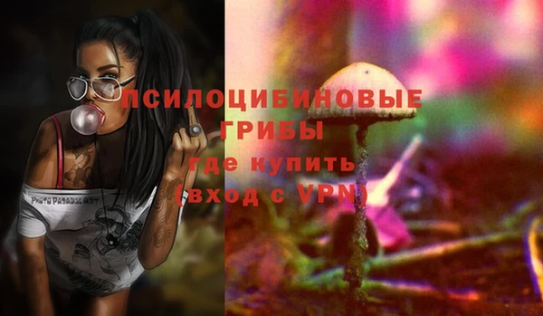 МДПВ Алексин