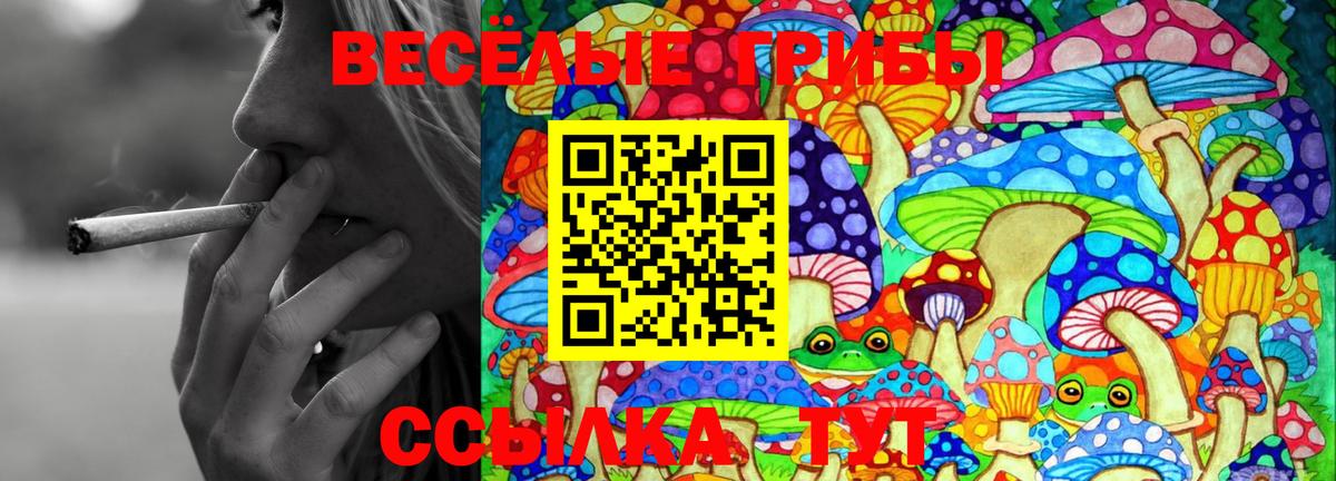 Псилоцибиновые грибы Psilocybine cubensis  Галлюциногенные грибы мицелий  Вход с VPN  Аша 