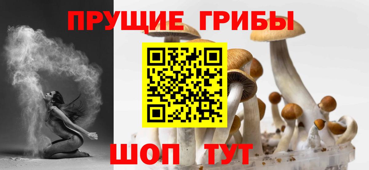 Галлюциногенные грибы Psilocybine cubensis Аша